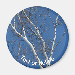 White Paper Birch Blue Sky Nature Personalized Magnet