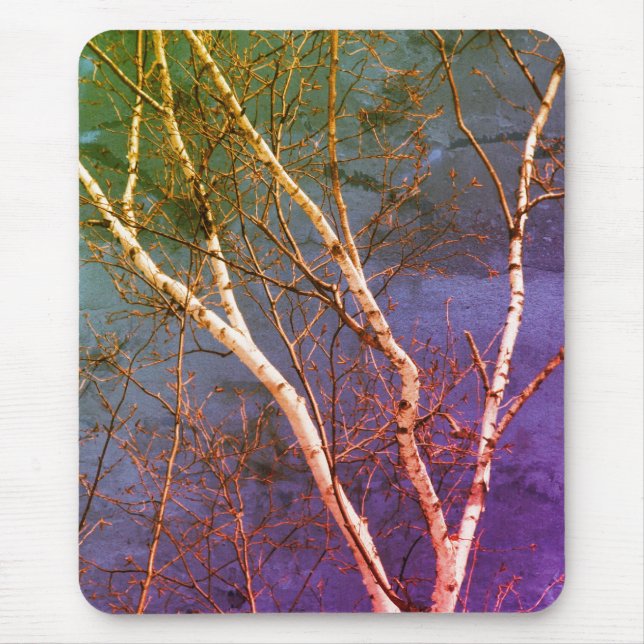 White Paper Birch Tree Blue Sky Nature Art Mouse Mat (Front)