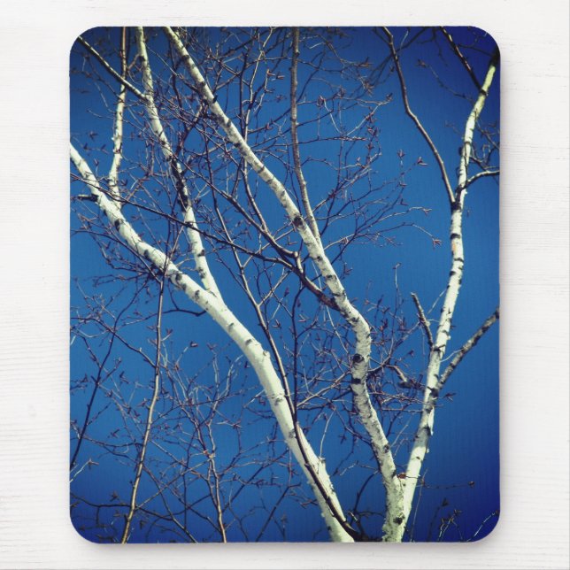 White Paper Birch Tree Blue Sky Nature  Mouse Mat (Front)