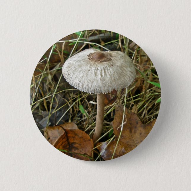 White Parasol Mushroom Coordinating Items 6 Cm Round Badge (Front)