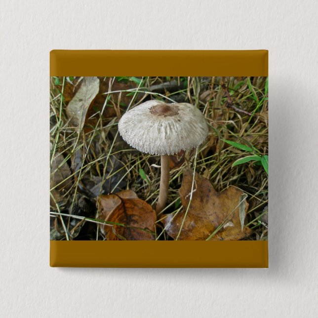 White Parasol Mushroom Magnet 15 Cm Square Badge (Front)