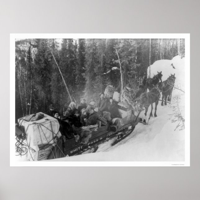White Pass Alaska Sled Train 1903 Poster (Front)