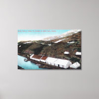 White Pass & Yukon Railroad Train