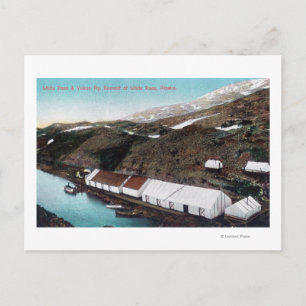 White Pass & Yukon Railroad Train Postcard