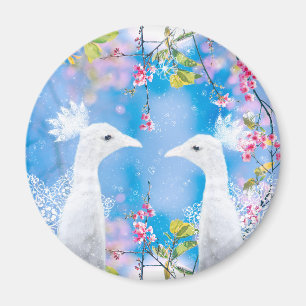 White peacock and blooming sakura / Romantic love  Magnet