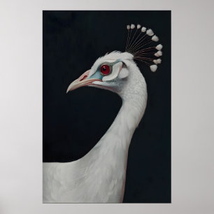 White Peacock Art Print, Animal Portrait Bird Poster