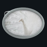 White Peacock beautiful feathers  Belt Buckle<br><div class="desc">White Peacock beautiful feathers</div>