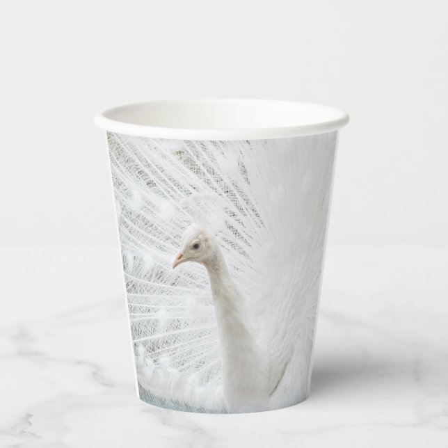 White Peacock beautiful feathers  Paper Cups (Front)