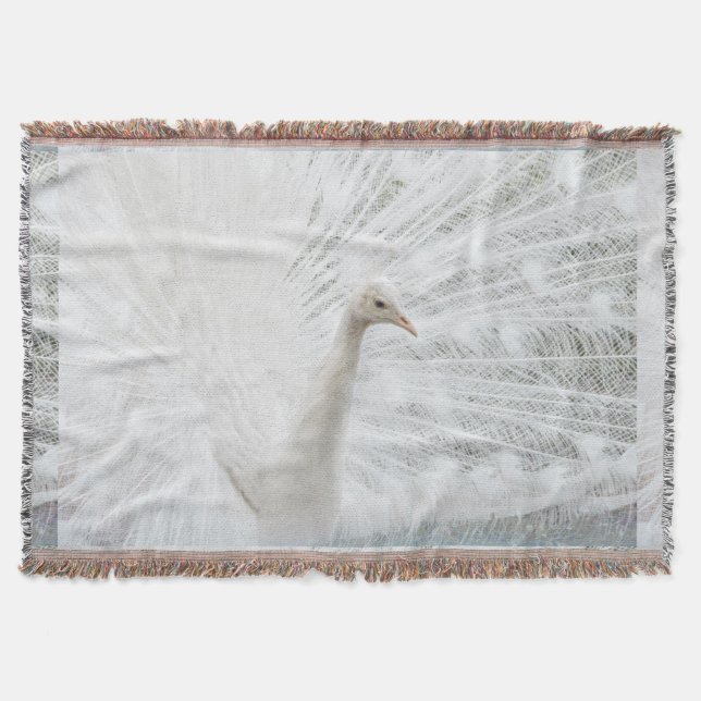 White Peacock beautiful feathers  Throw Blanket (Front)