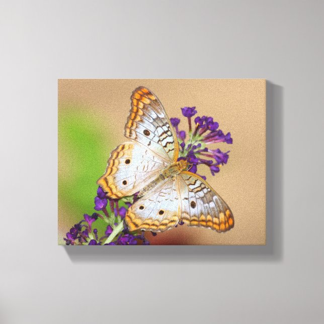 White Peacock Butterfly on Purple Flowers Canvas Print (Front)