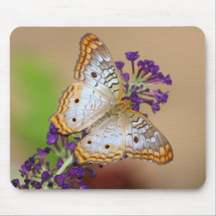 White Peacock Butterfly on Purple Flowers Mouse Mat