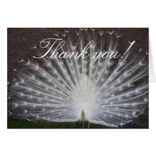 White Peacock Card
