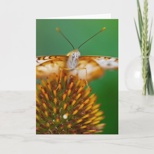 White Peacock Card (Front)