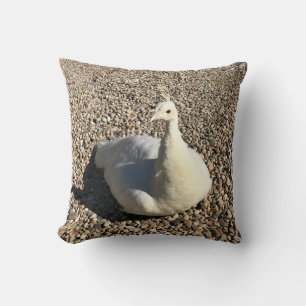 White Peacock, Idaho Cushion