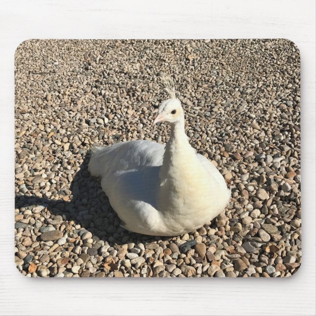 White Peacock, Idaho Mouse Mat (Front)