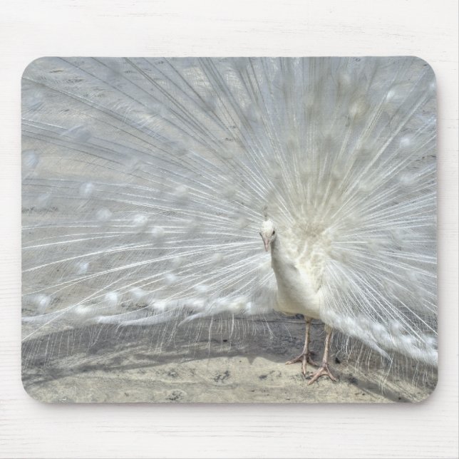 White Peacock Mouse Mat (Front)
