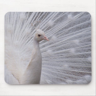 White Peacock Mouse Mat