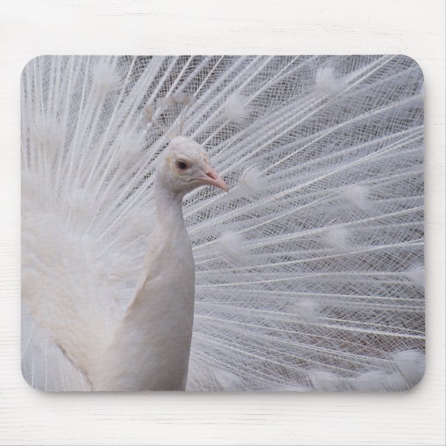 White Peacock Mouse Mat (Front)