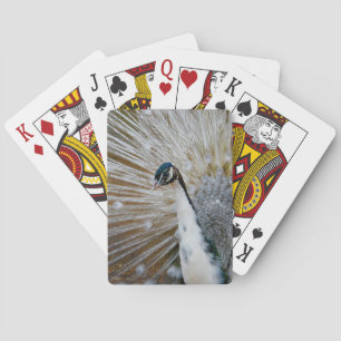 White Peacock Playing Cards
