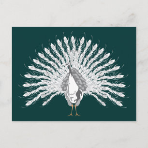 White Peacock Postcards