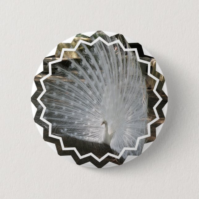 White Peacock Round Button (Front)