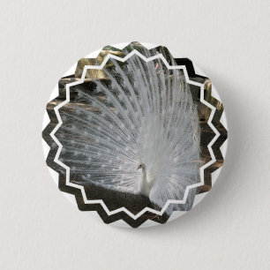 White Peacock Round Button