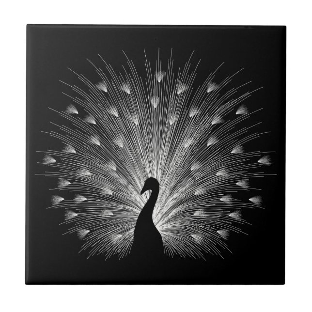 White peacock tile (Front)