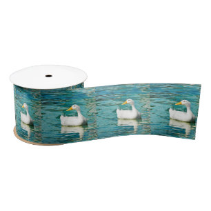 White Pekin Duck  - Nature Photo in Reflections Satin Ribbon