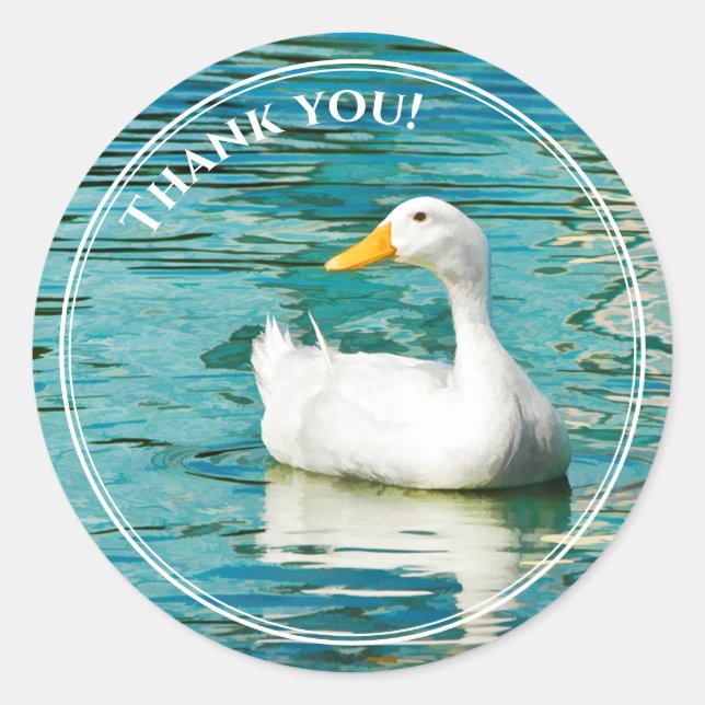 White Pekin Duck  - Nature Photo Lake Reflections Classic Round Sticker (Front)