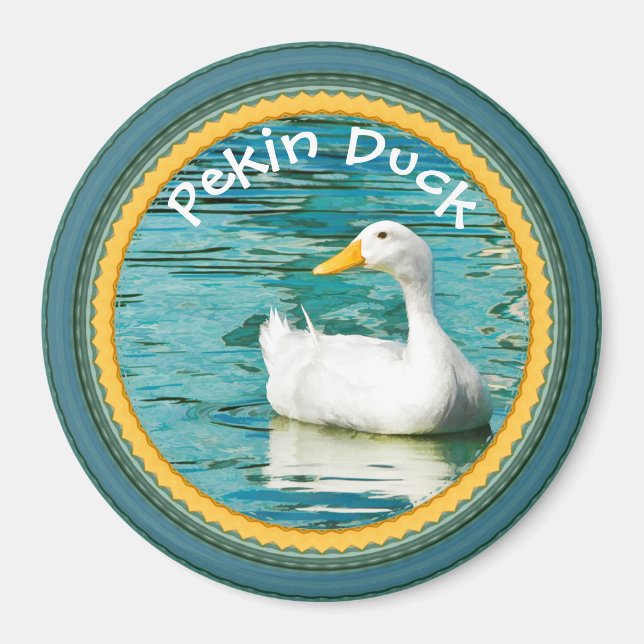 White Pekin Duck  - Nature Photography Urban Lake Magnet (Front)