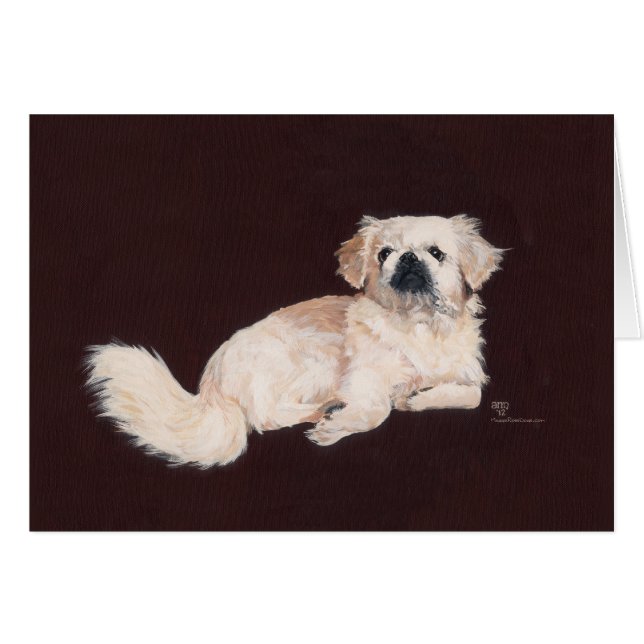 White Pekingese Dog (Front Horizontal)