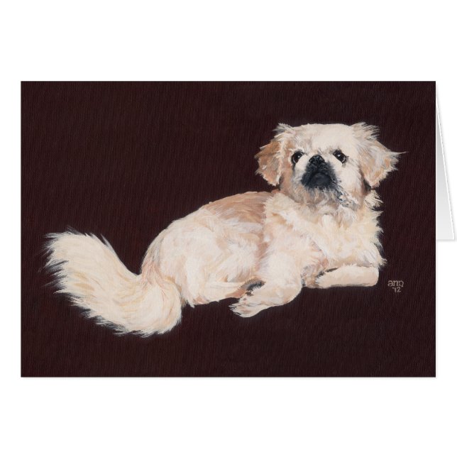 White Pekingese Dog (Front Horizontal)