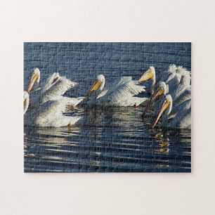 White Pelican Bird Wildlife Animal Swimming Puzzle