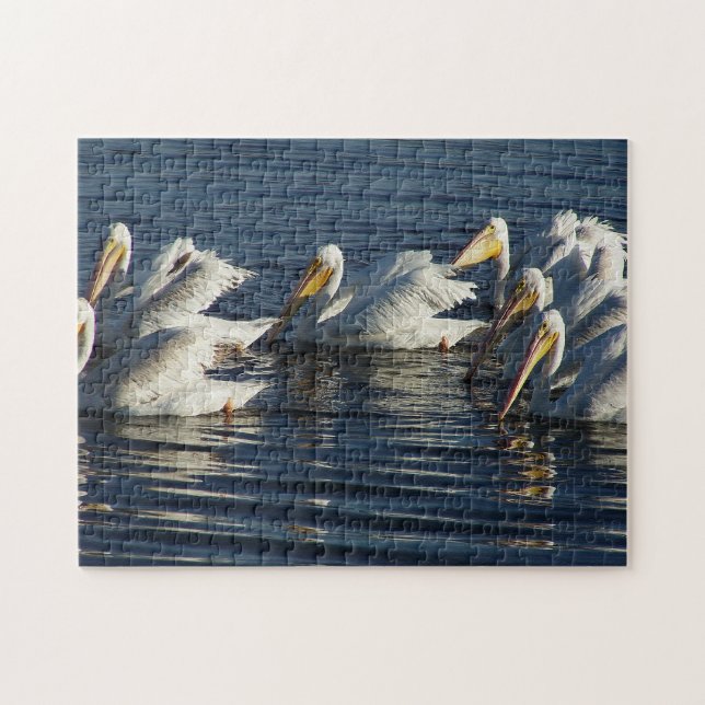 White Pelican Bird Wildlife Animal Swimming Puzzle (Horizontal)