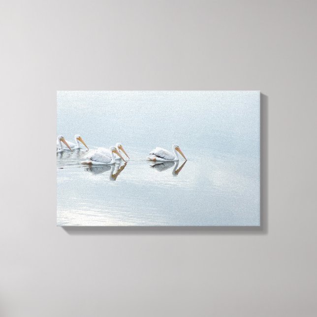 White Pelican Birds Animals Wrapped Canvas Print (Front)