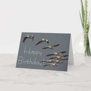 White Pelican Birds Wildlife Animal Happy Birthday Card