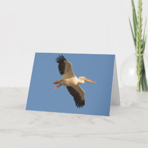 White Pelican Greeting Card