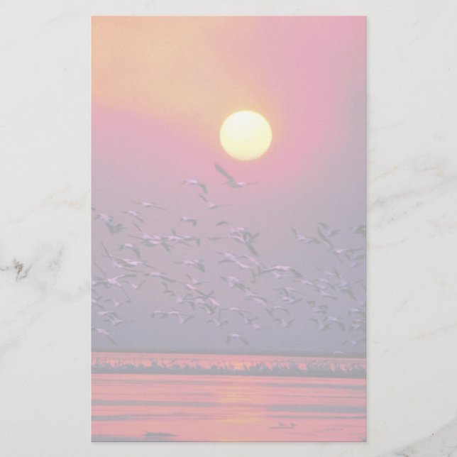 White Pelican in Haze Stationery (Front)