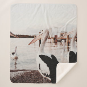 WHITE PELICAN ON BODY OF WATER DURING DAYTIME SHERPA BLANKET