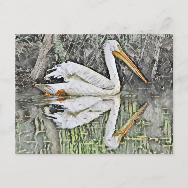 White Pelican Reflection in Lake Oil Painting Postcard (Front)