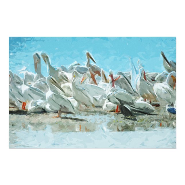 White Pelicans and Black Cormorant Abstract Photo Print (Front)