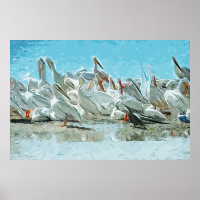 White Pelicans and Black Cormorant Abstract Poster (Front)