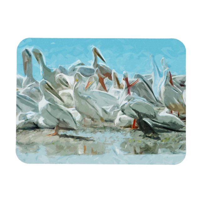White Pelicans and Black Friend Abstract Magnet (Horizontal)