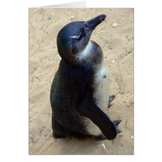 White penquin