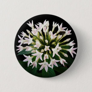 White Pentas 6 Cm Round Badge