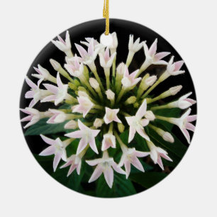 White Pentas Ceramic Tree Decoration