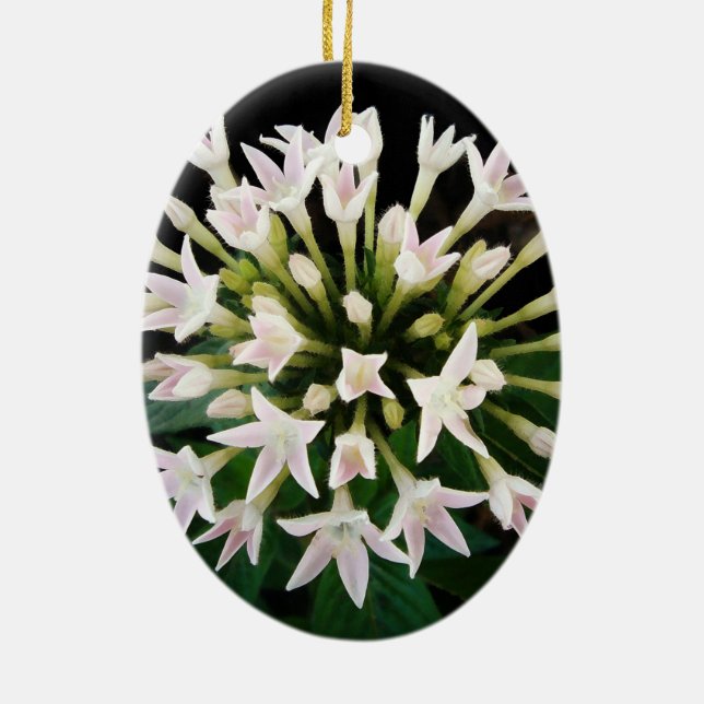 White Pentas Ceramic Tree Decoration (Back)
