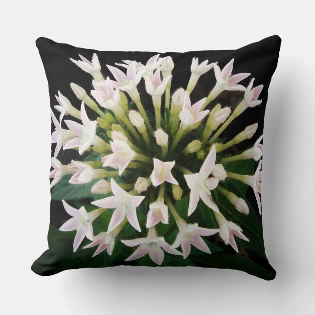 White Pentas Cushion (Front)