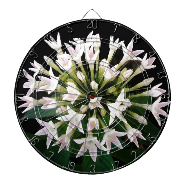 White Pentas Dartboard (Front)