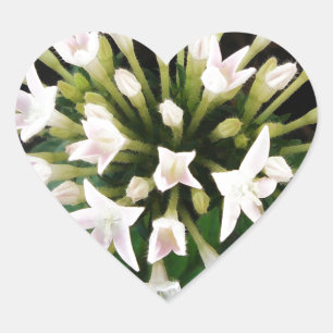 White Pentas Heart Sticker